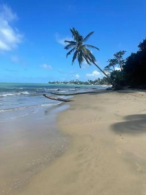Apartamento 3Bedrm Beach Penthouse With Rooftop Terrace & Wifi Río Grande Puerto Rico