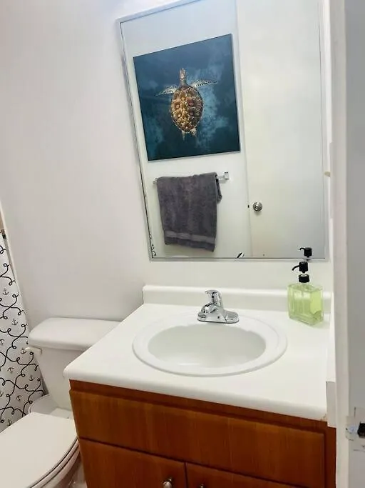 3Bedrm Beach Penthouse With Rooftop Terrace & Wifi Río Grande Apartamento