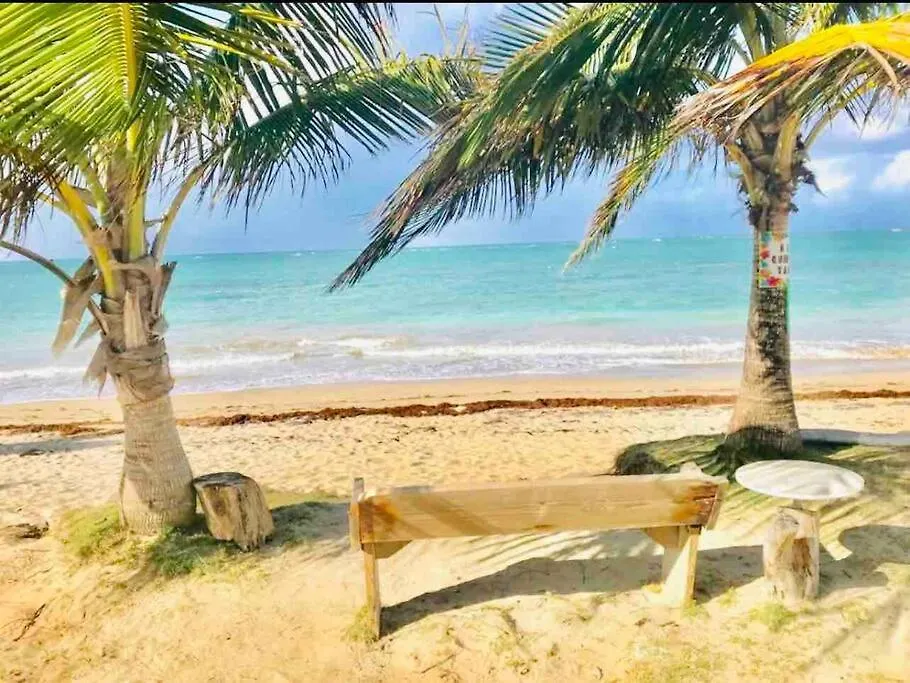Apartamento 3Bedrm Beach Penthouse With Rooftop Terrace & Wifi Río Grande