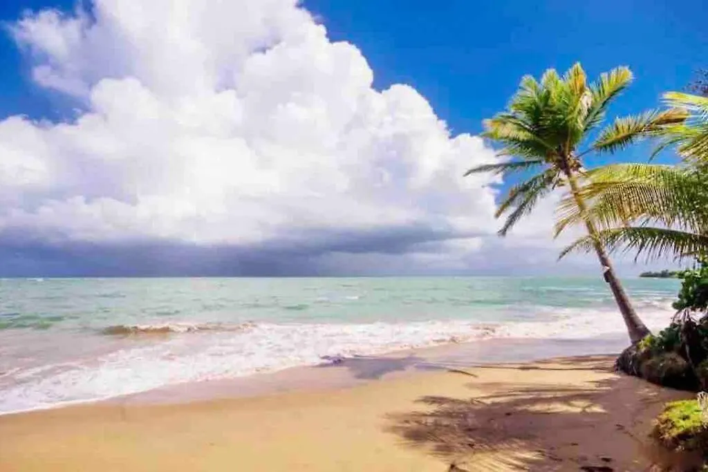 3Bedrm Beach Penthouse With Rooftop Terrace & Wifi Río Grande