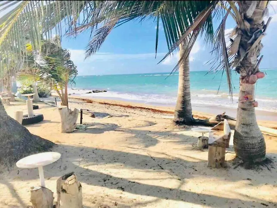3Bedrm Beach Penthouse With Rooftop Terrace & Wifi Río Grande Apartamento